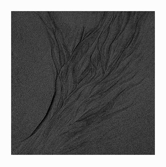 Abstracts Patterns & Movement